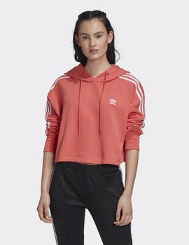Sudadera Capucha CROPPED HOOD - Salmon