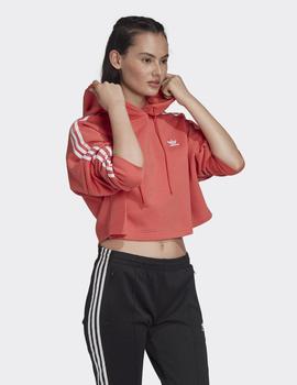 Sudadera Capucha CROPPED HOOD - Salmon