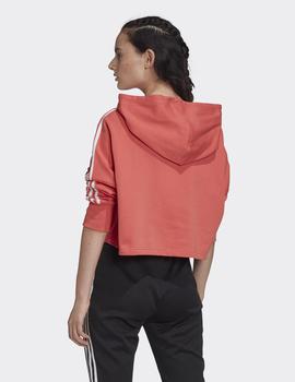 Sudadera Capucha CROPPED HOOD - Salmon
