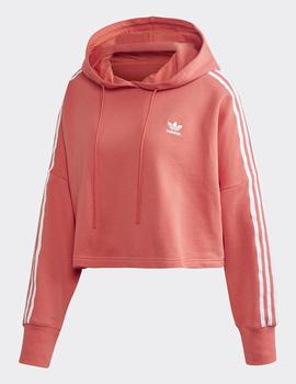 Sudadera Capucha CROPPED HOOD - Salmon