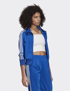 Chaqueta Adidas FIREBIRD TT - Azul royal
