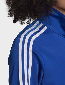 Chaqueta Adidas FIREBIRD TT - Azul royal