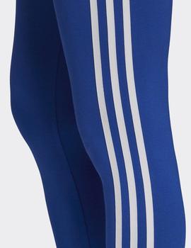 Leggins Adidas 3 STR TIGHT - Azul royal