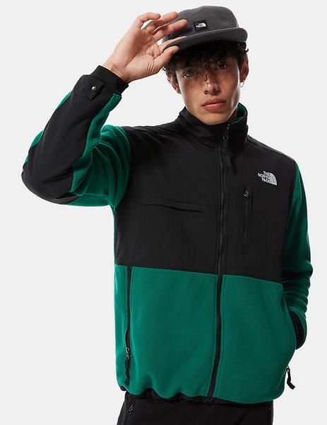 Polar The North Face DENALI 2 - Evergreen