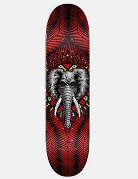 Tabla Skate PP VALLELY ELEPHANT BIRCH 8.25'x 31,95' -