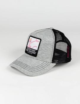 Gorra HYDROPONIC FUN PINK SHOW - Heather Grey / Black