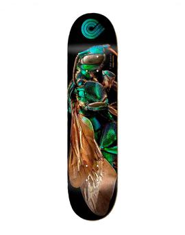 Tabla Skate BISS FLIGHT CUCKOO BEE 8' x 31,45'