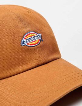 Gorra DICKIES 6 PANEL LOGO - Brown Duck