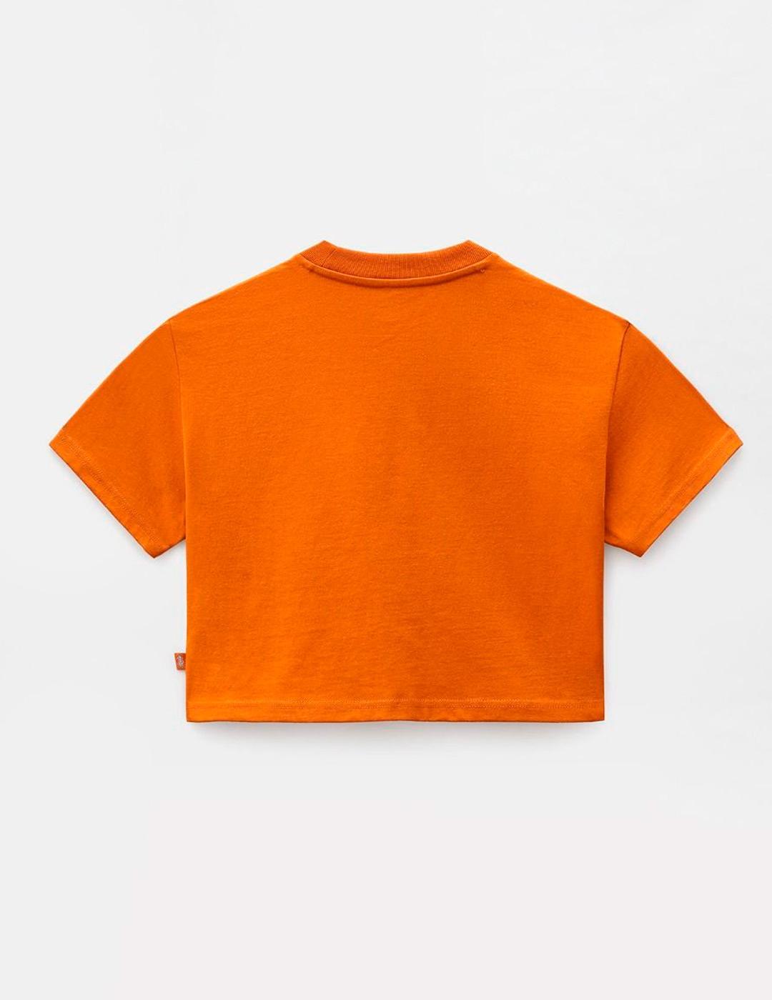 Camiseta WM PORTERDALE CROP - Pumpkin Spice