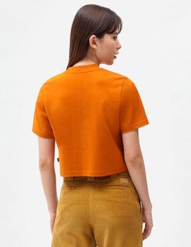 Camiseta WM PORTERDALE CROP - Pumpkin Spice