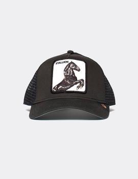 Gorra GOORIN BROS STALLION - Negro