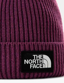 Gorro THE NORTH FACE LOGO BOX CUFFED - PIKES PURPLE