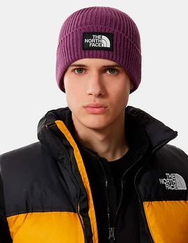 Gorro THE NORTH FACE LOGO BOX CUFFED - PIKES PURPLE