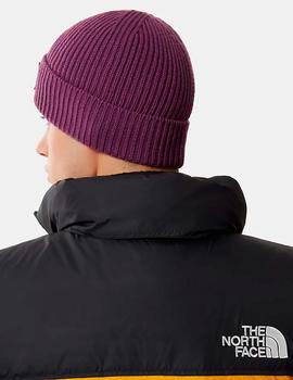 Gorro THE NORTH FACE LOGO BOX CUFFED - PIKES PURPLE