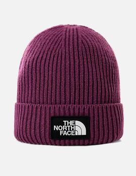 Gorro THE NORTH FACE LOGO BOX CUFFED - PIKES PURPLE