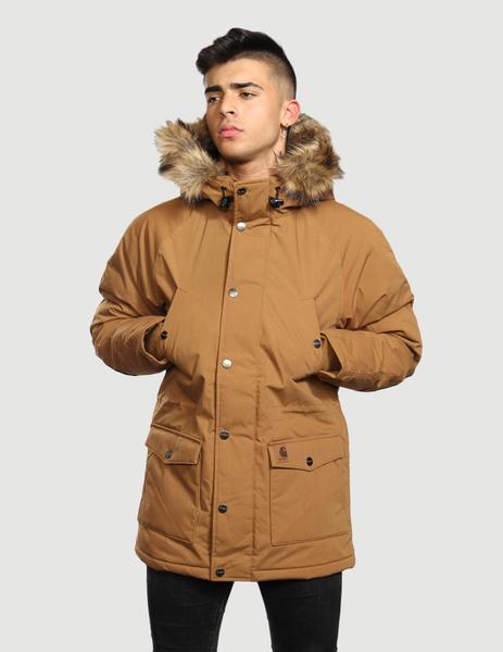 Carhartt PARKA - Brown black