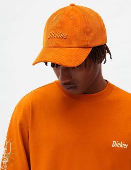 Gorra DICKIES HIGGINSON - Pumpkin Spice