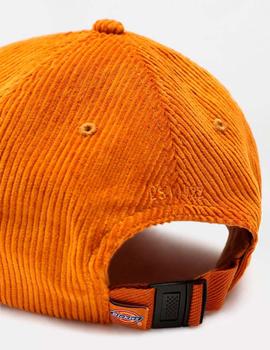 Gorra DICKIES HIGGINSON - Pumpkin Spice