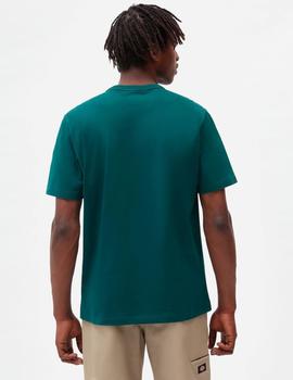 Camiseta DICKIES AITKIN - Ponderosa Pine