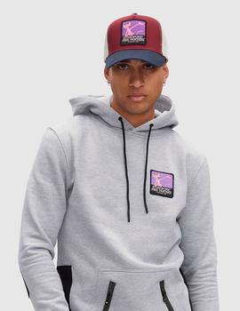 Sudadera Capucha HYDROPONIC PCH PINK SHOW -Heather Grey