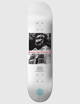 Tabla Skate ELEMENT POTA MONARCH 8,125' (Lija gratis)