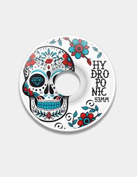 Ruedas MEXICAN SKULL 53MM - Turquoise