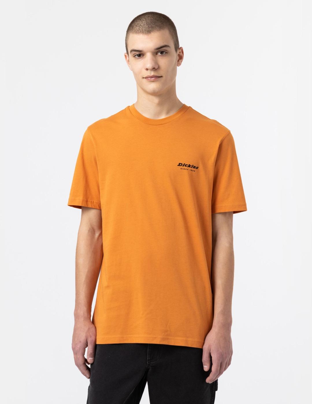 Camiseta DICKIES ARTONDALE BOX - Golden Ochre
