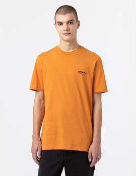 Camiseta DICKIES ARTONDALE BOX - Golden Ochre