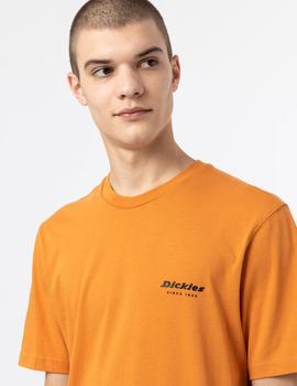 Camiseta DICKIES ARTONDALE BOX - Golden Ochre