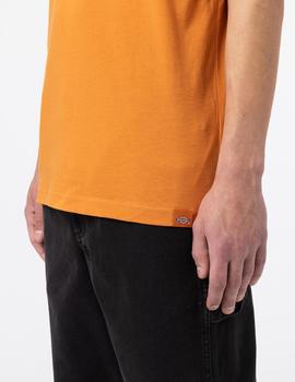 Camiseta DICKIES ARTONDALE BOX - Golden Ochre