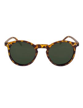 Gafas Hydroponic EW BAY- Tortoise Matte + Green