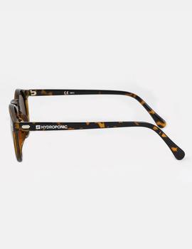 Gafas HYDROPONIC EW WOLF - Tortoise + Brown