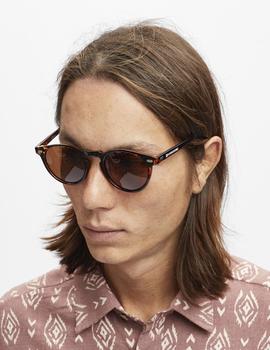 Gafas HYDROPONIC EW WOLF - Tortoise + Brown