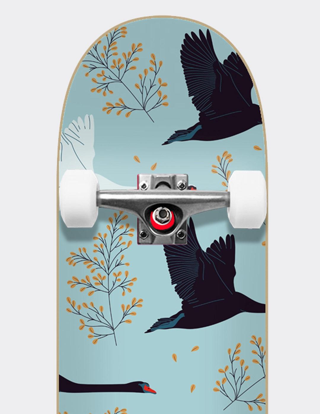 Skate Completo ALOIKI CHEN 7.6' x 31.6'