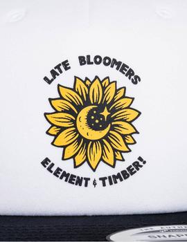 Gorra ELEMENT TIMBER BLOOMERS  - Off White