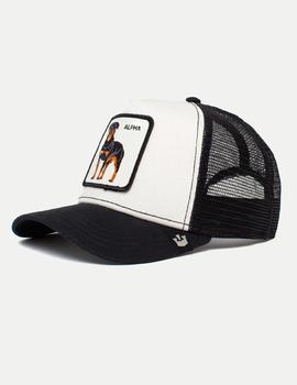 Gorra ALPHA DOG - White