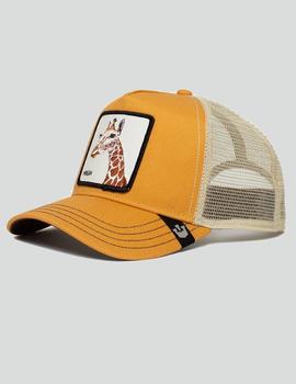 Gorra SO HIGH - Yellow