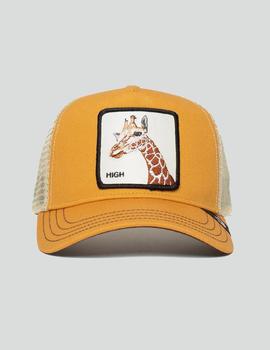 Gorra SO HIGH - Yellow