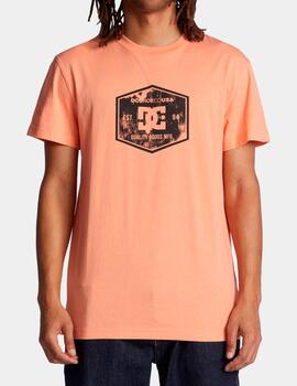 Camiseta DC SHOES CHAIN LINK TSS  - Papaya Punch