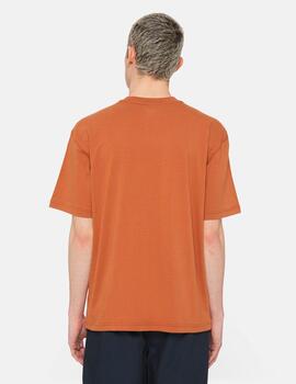 Camiseta DICKIES DUMFRIES - Mocha Bisque