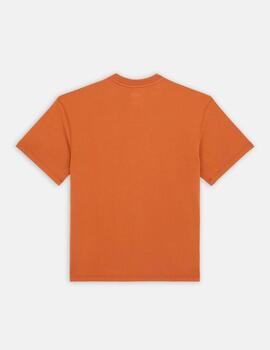 Camiseta DICKIES DUMFRIES - Mocha Bisque