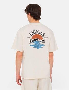 Camiseta DICKIES BEACH - Whitecap Gray