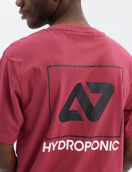 Camiseta HYDROPONIC HY CLASSIC - Plum