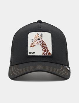 Gorra GOORIN BROS THE GIRAFFE - Black