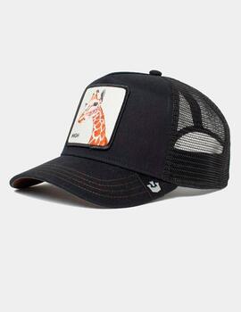 Gorra GOORIN BROS THE GIRAFFE - Black