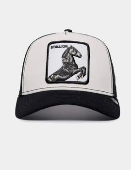 Gorra GOORIN BROS STALLION - Black/White