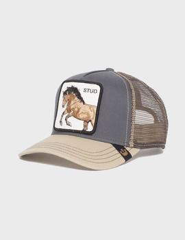 Gorra Goorin Bros YOU STUD - GRY