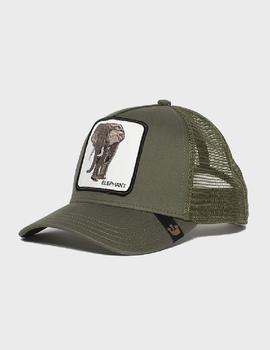 Gorra Goorin Bros  ELEPHANT - OLI