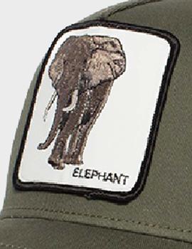 Gorra Goorin Bros  ELEPHANT - OLI