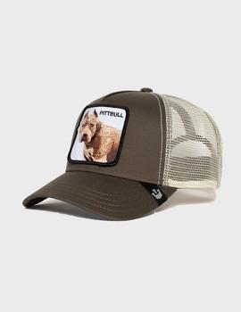 Gorra PITBULL - Gris